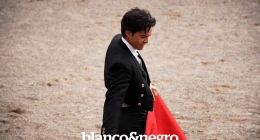 Festival-Taurino-139