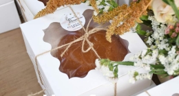 Baby-Mariana-Olmos_2546