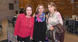 Pasarela-Pineda-Covalin_8821