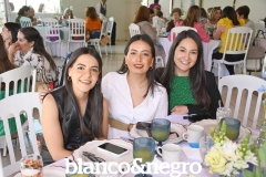 BYN_8842