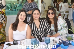 BYN_8960