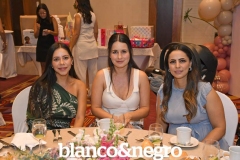 BYN_3887
