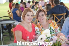 BYN_4919
