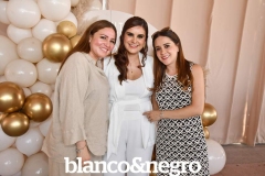 BYN_8193