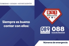 GOBIERNO-2P