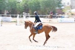 BYN_0261