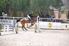 BYN_0339