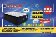 COLCHORAMA-Media-H