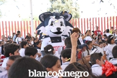 BYN_7442