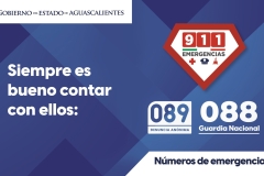 GOBIERNO-2P