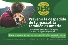 ALMASCOTAS-Media-H