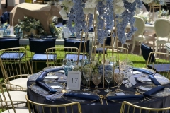 WhatsApp-Image-2024-04-29-at-2.18.13-PM-2