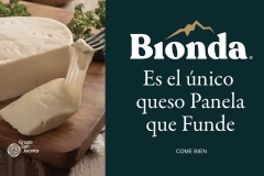 BIONDA-Media-H