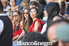 BYN_6031