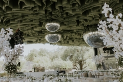 PAOYALEXFAVORITASPRINT-7585