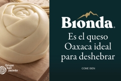 BIONDA-Media-H